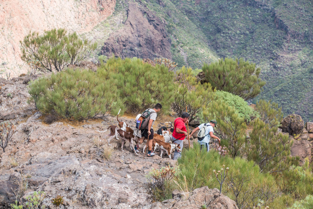 Jäger mir Hunden auf dem Gipfelweg an der Montaña Guama