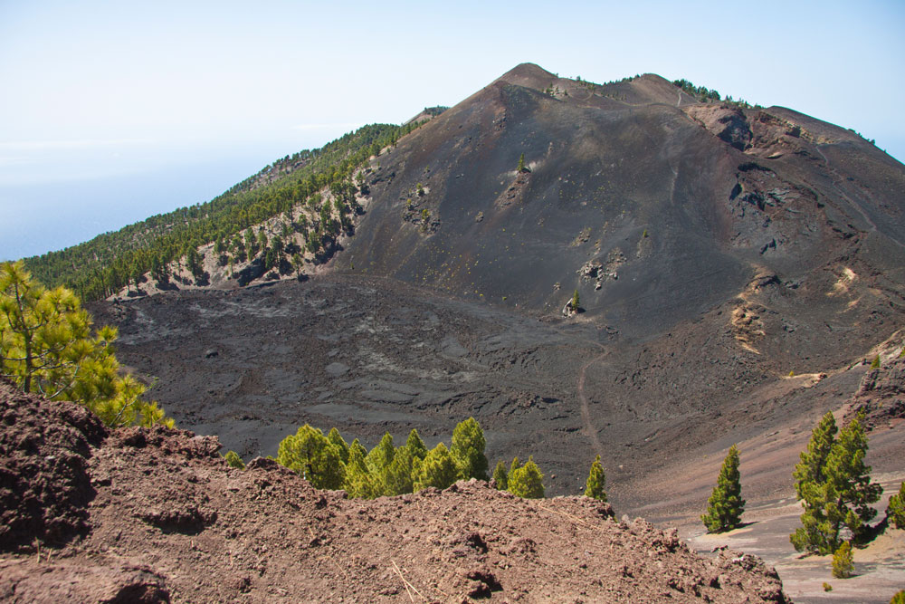 Ruta de los Volcanes - schwarzes Lavagestein und Kiefern