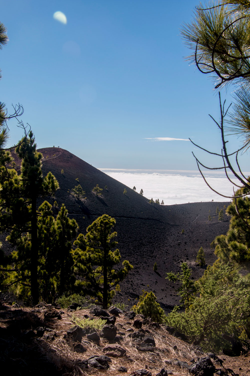 Ruta de los Volcanes - über den Wolken