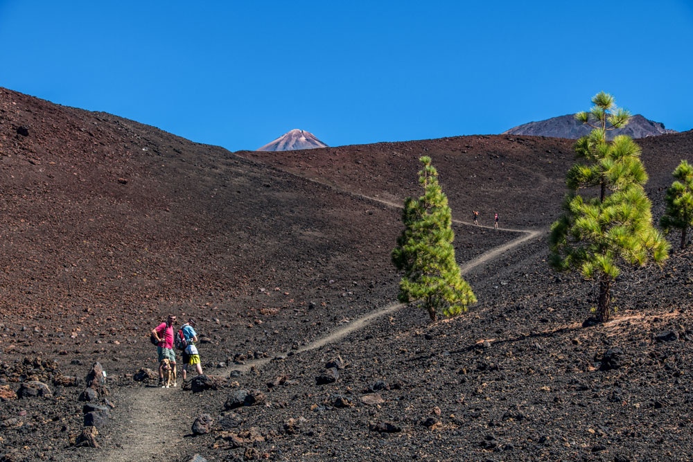 Wanderweg mit Teide Spitze im Hindergrund