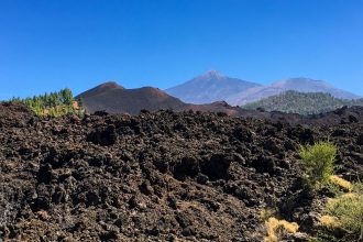 Lavafeld mit Chinyero, Teide und Pico Viejo