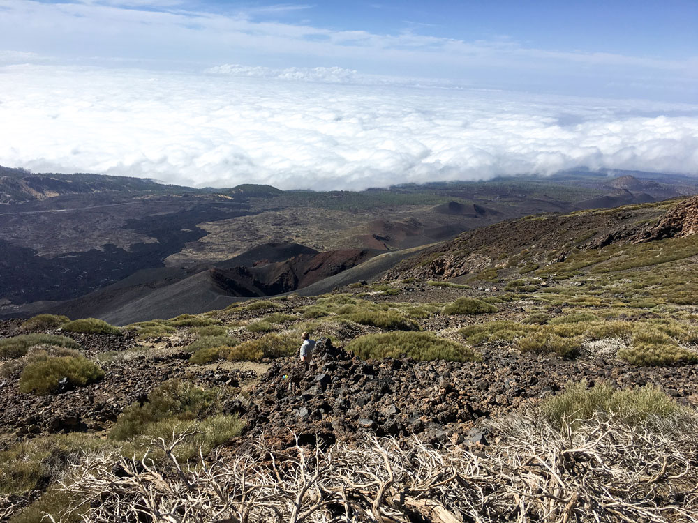 Wandern über den Wolken - unten die Narices del Teide