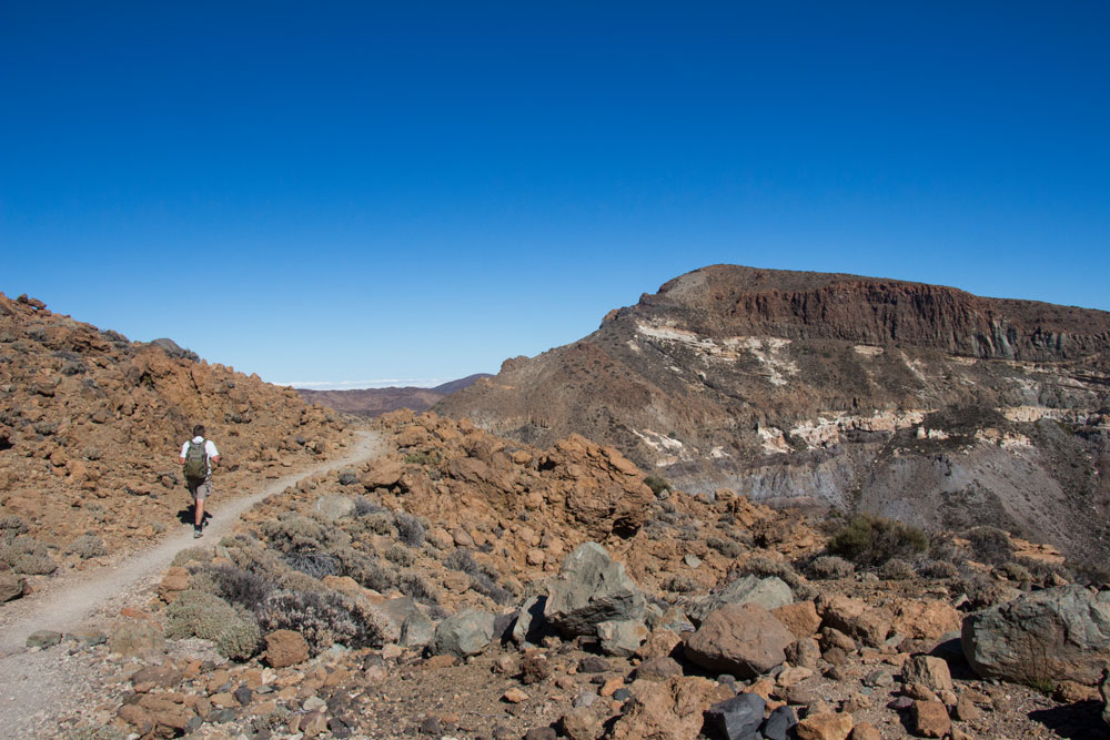 Wanderweg kurz vor dem Abzweig auf den Gipfelweg Nr. 15
