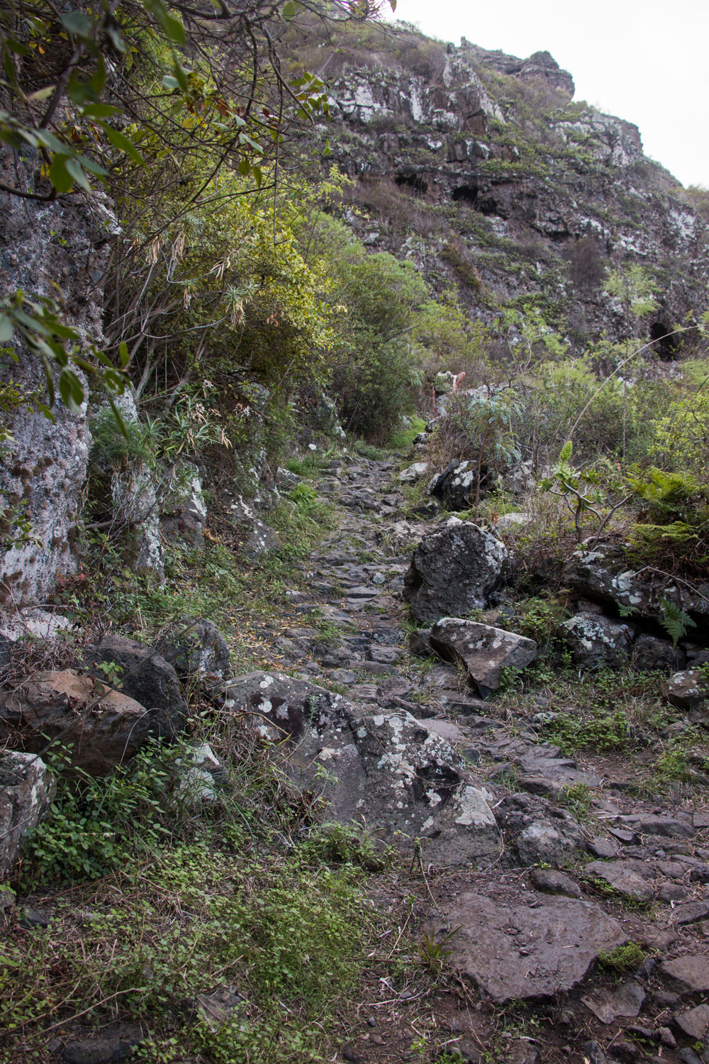 Wanderweg von Erjos zu den Cuevas Negras