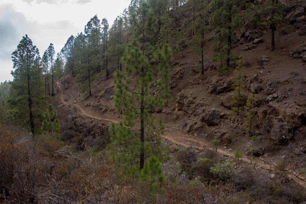 Wanderpfad am Barranco Rand