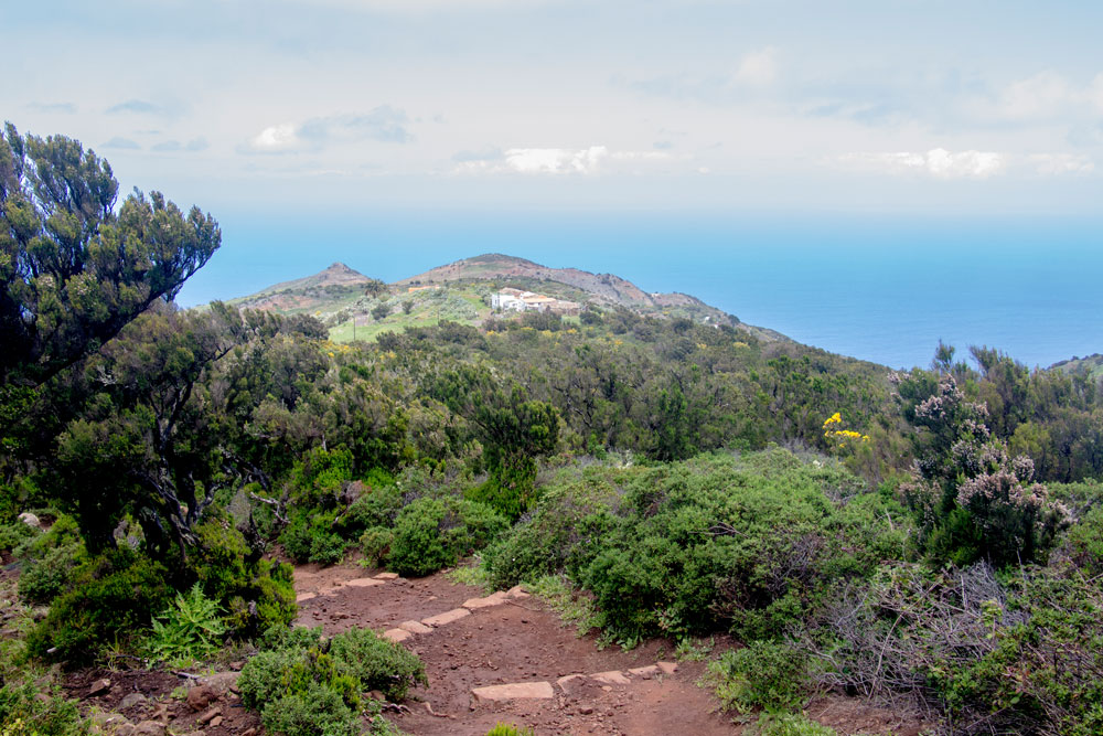 Wanderweg mit rotem Boden nach Teno Alto