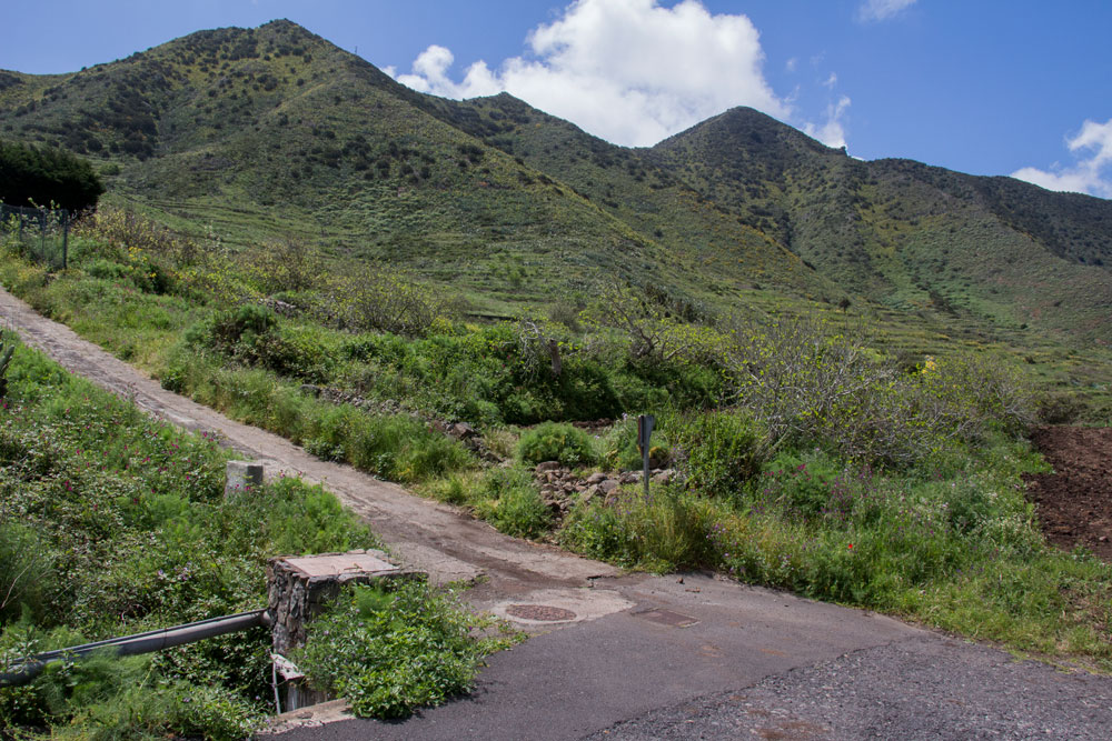 Abzweig Wanderweg vom Fahrweg über El Palmar zum Mirador Cumbre de Brancán