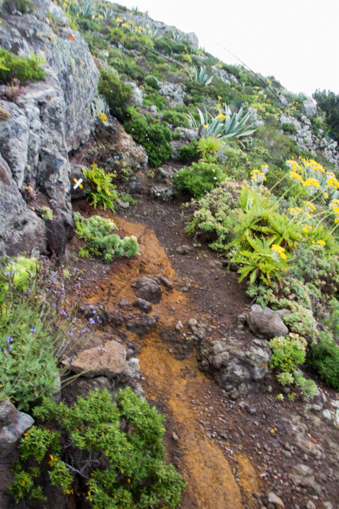 el pequeño sendero se ramifica a la derecha de la ruta de senderismo hacia la cumbre de Barancán