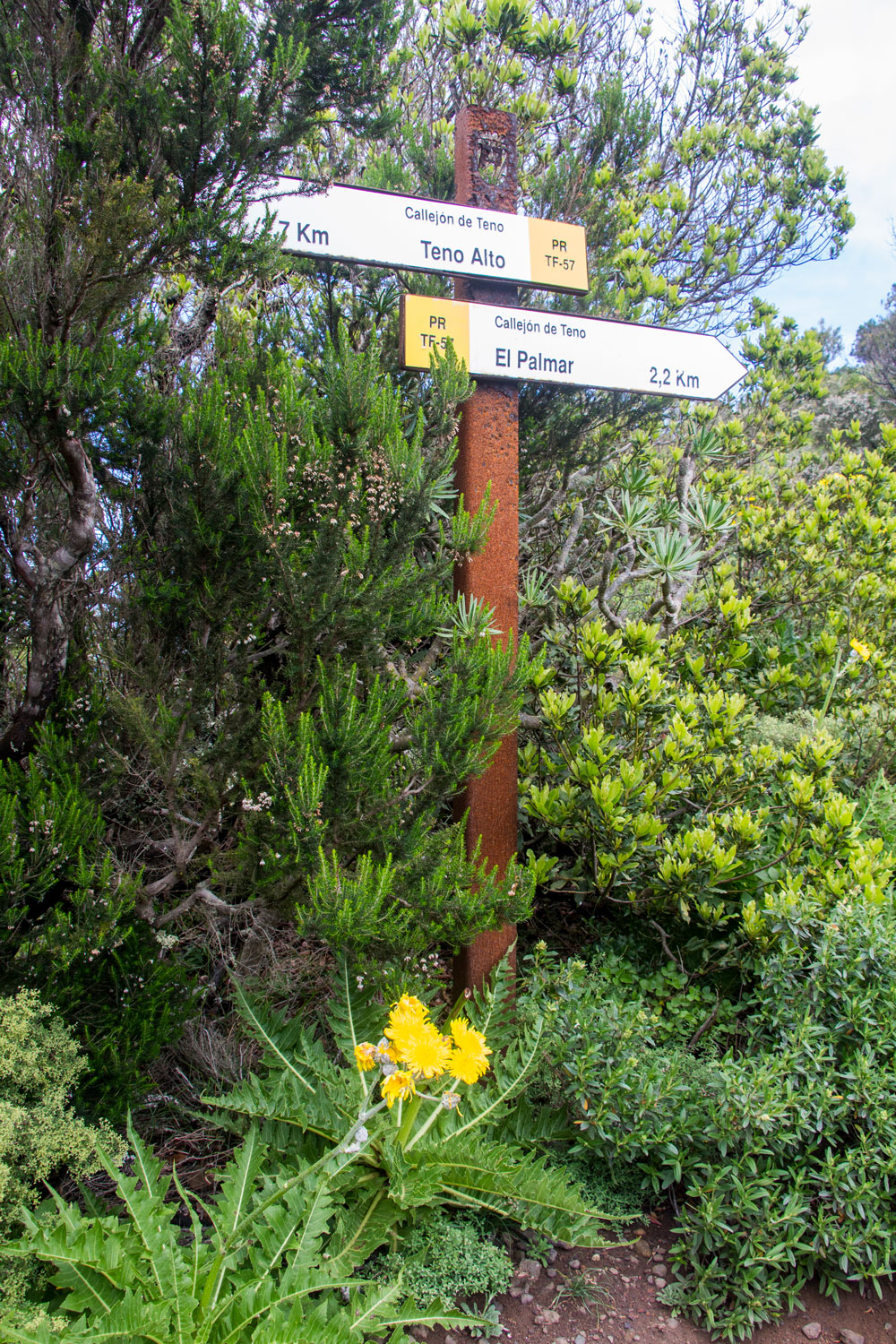 Wanderbeschilderung im Grünen