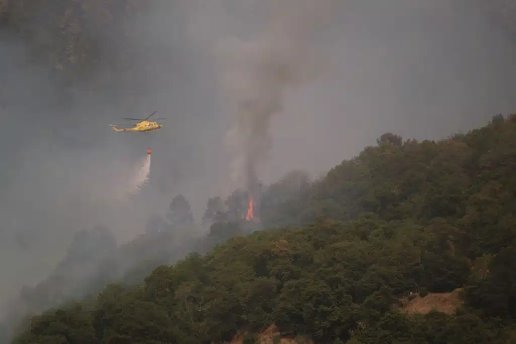 Brand auf Teneriffa - Foto Diario de Avisos