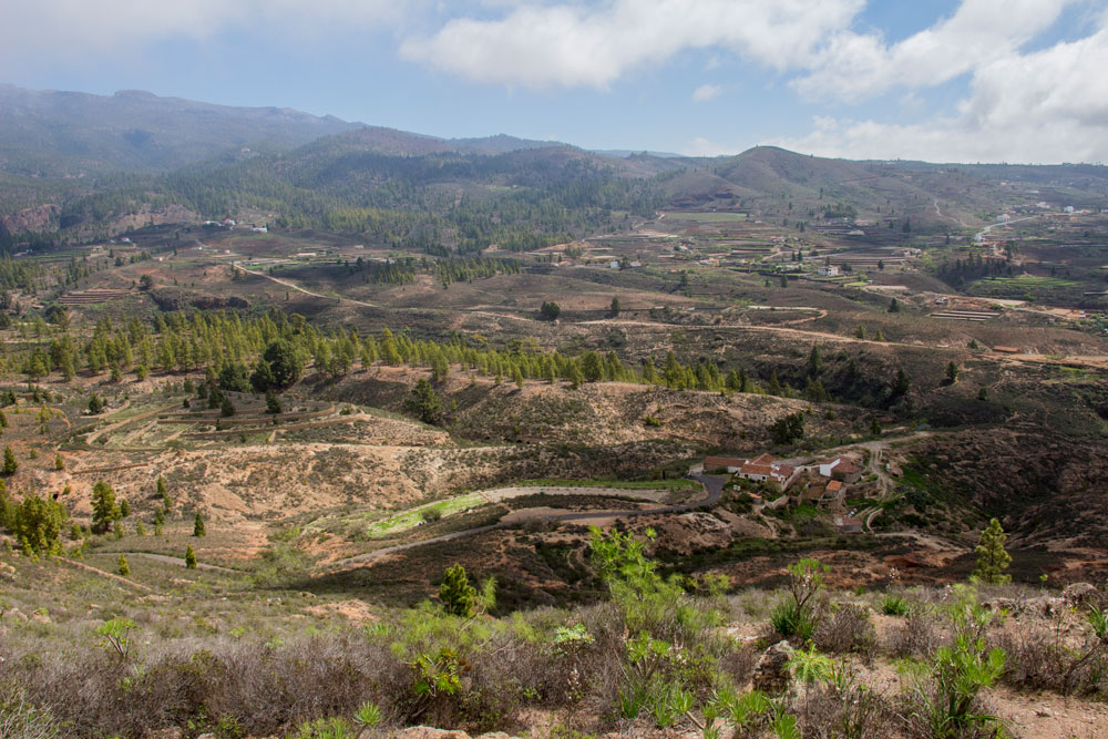 Blick auf den oberen Teil des Barranco del Rey