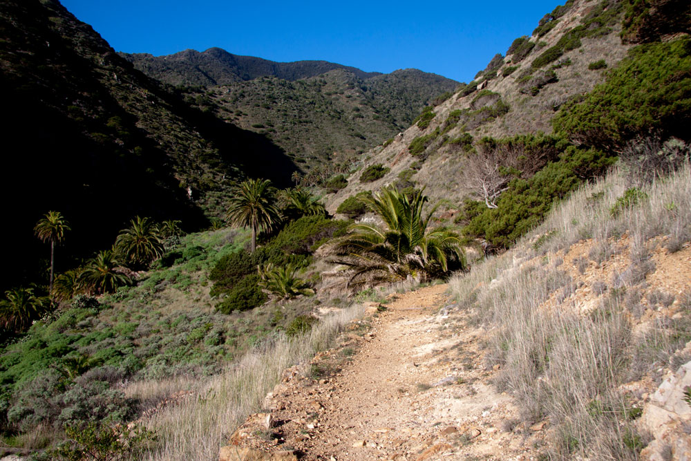 Wanderweg Richtung Teselinde Massiv