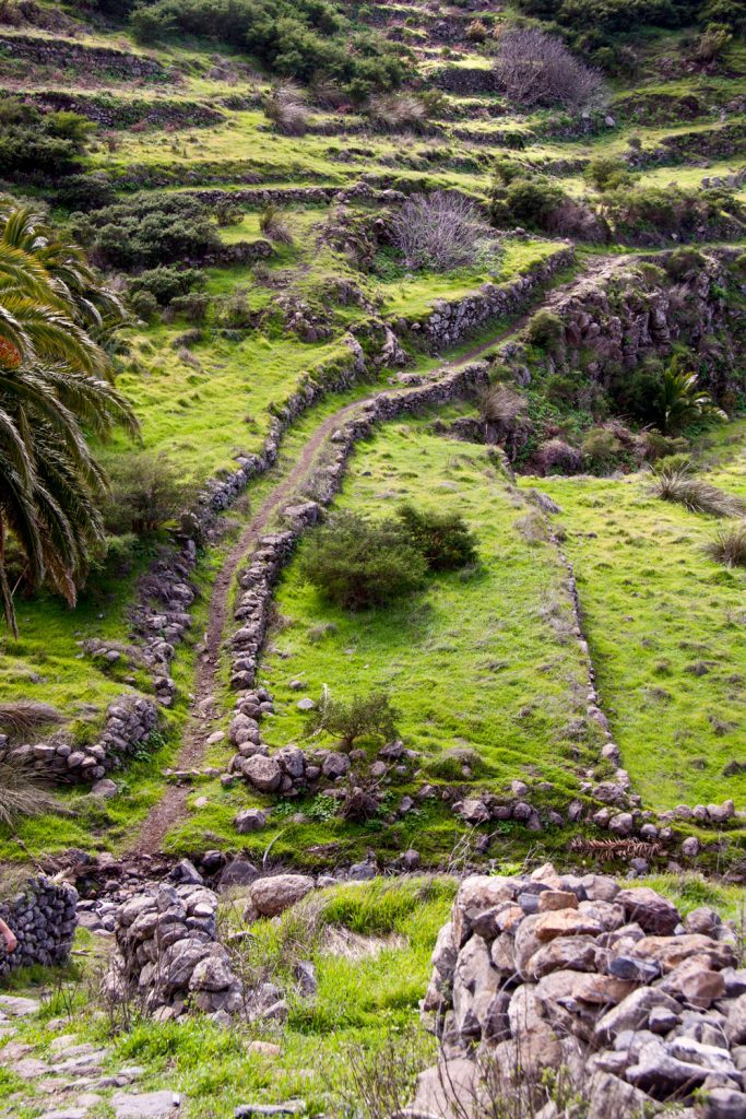 Ruta de senderismo por praderas bordeadas de muros de piedra