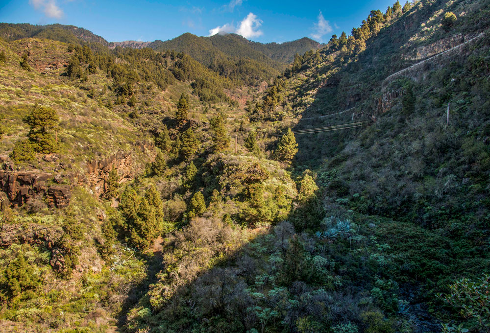 Barranco del Jorado - La Palma
