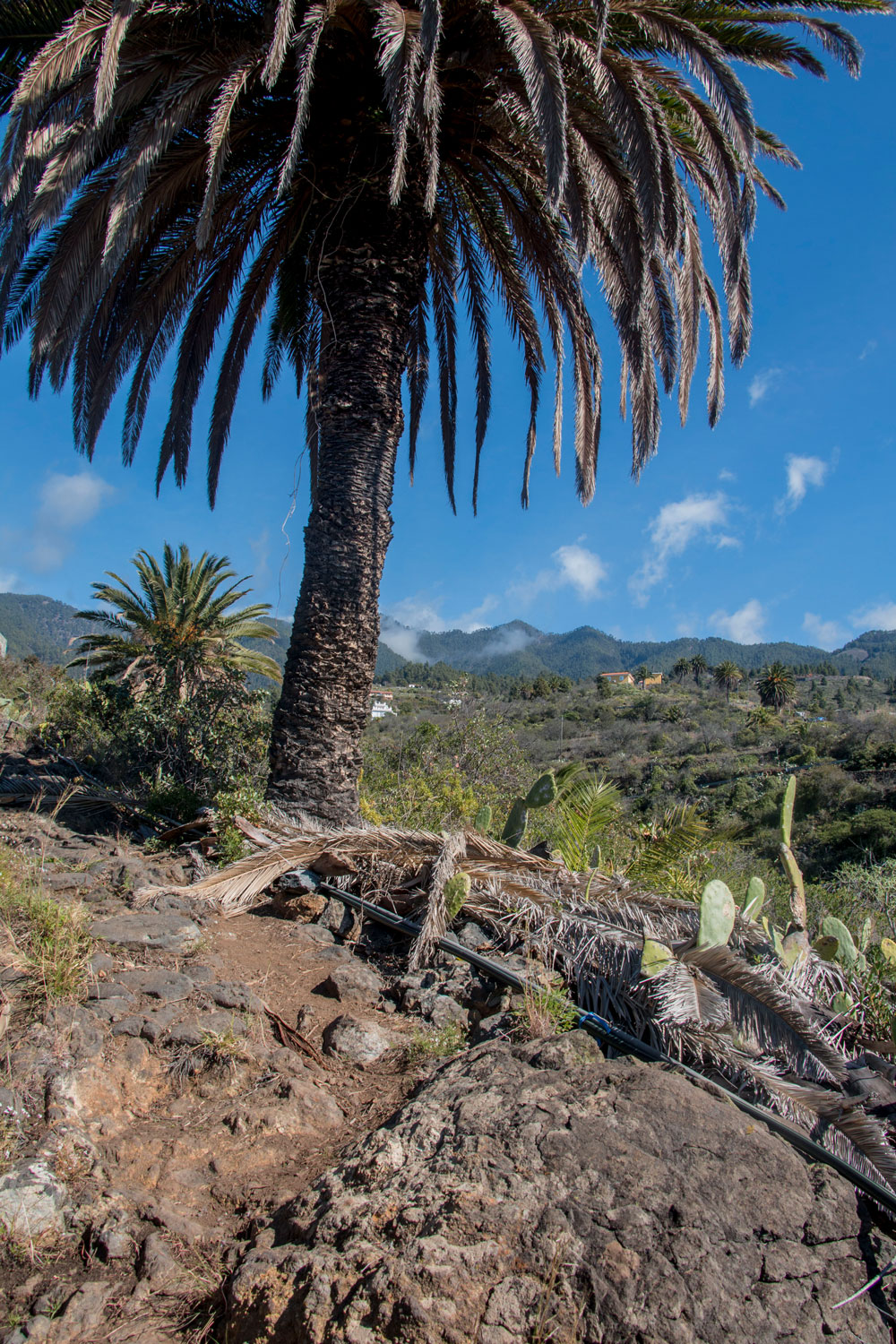 Wanderweg nach Tijarafe