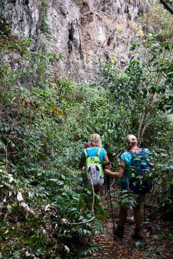 Camino hacia el Barranco de los Cochinos