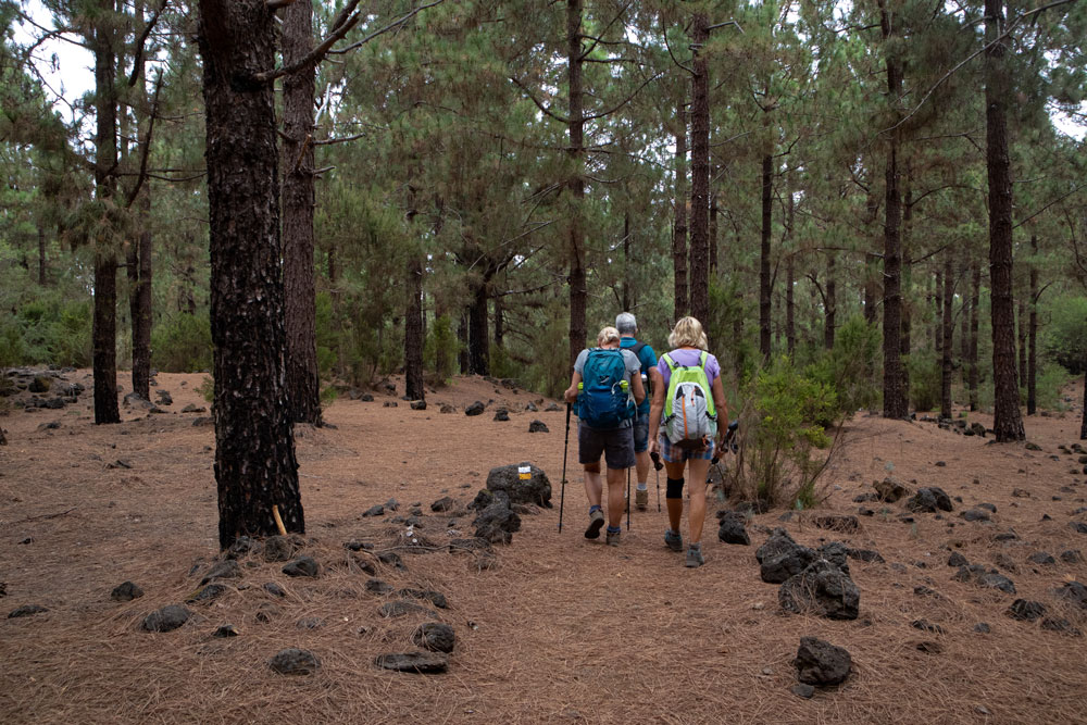 Wanderer Waldweg Montaña Negra