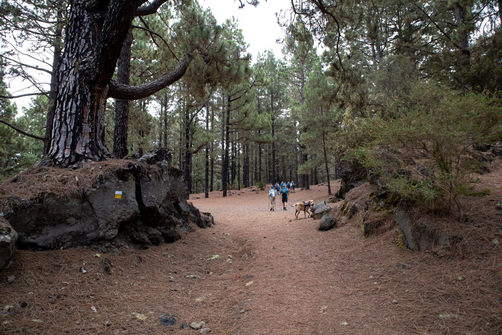 Wanderweg von Arenas Negras bergauf