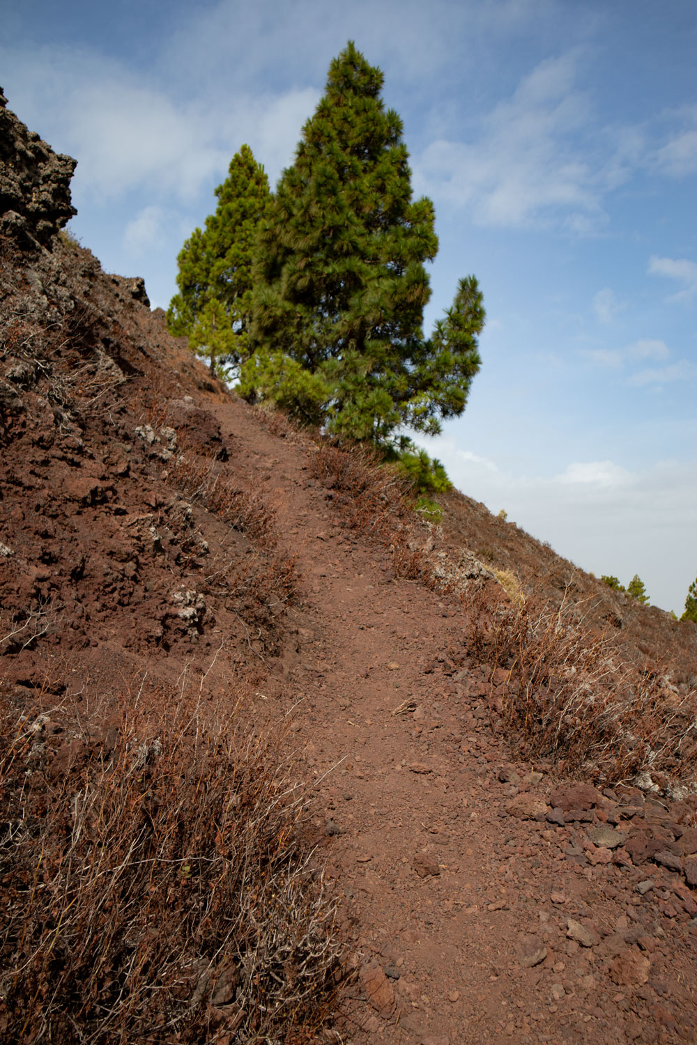 Wanderweg Montaña Negra