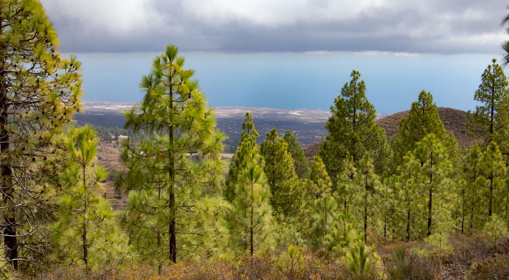 Ausblick auf die Südostküste von Teneriffa -https://leo-reuter.de/siebeninseln/teneriffa/paisaje-lunar/