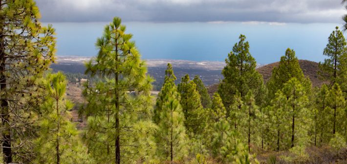 Ausblick auf die Südostküste von Teneriffa -https://leo-reuter.de/siebeninseln/teneriffa/paisaje-lunar/