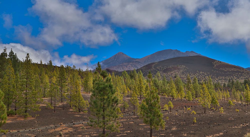 Montaña de La Cruz de Tea - Pico del Teide und Pico Viejo im Hintergrund