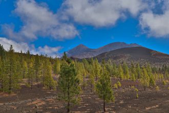 Montaña de La Cruz de Tea - Pico del Teide und Pico Viejo im Hintergrund