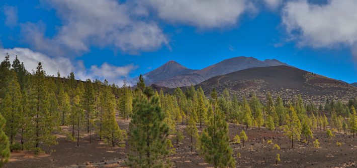 Montaña de La Cruz de Tea - Pico del Teide und Pico Viejo im Hintergrund