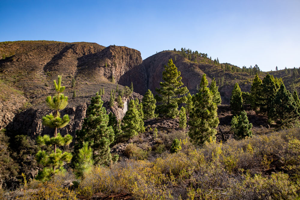 barranco de erquesteneriffasiebeninseln