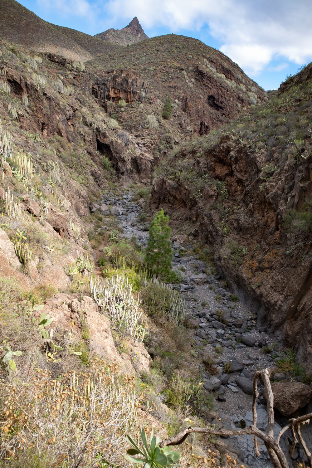 Blick in den Barranco bei Arona