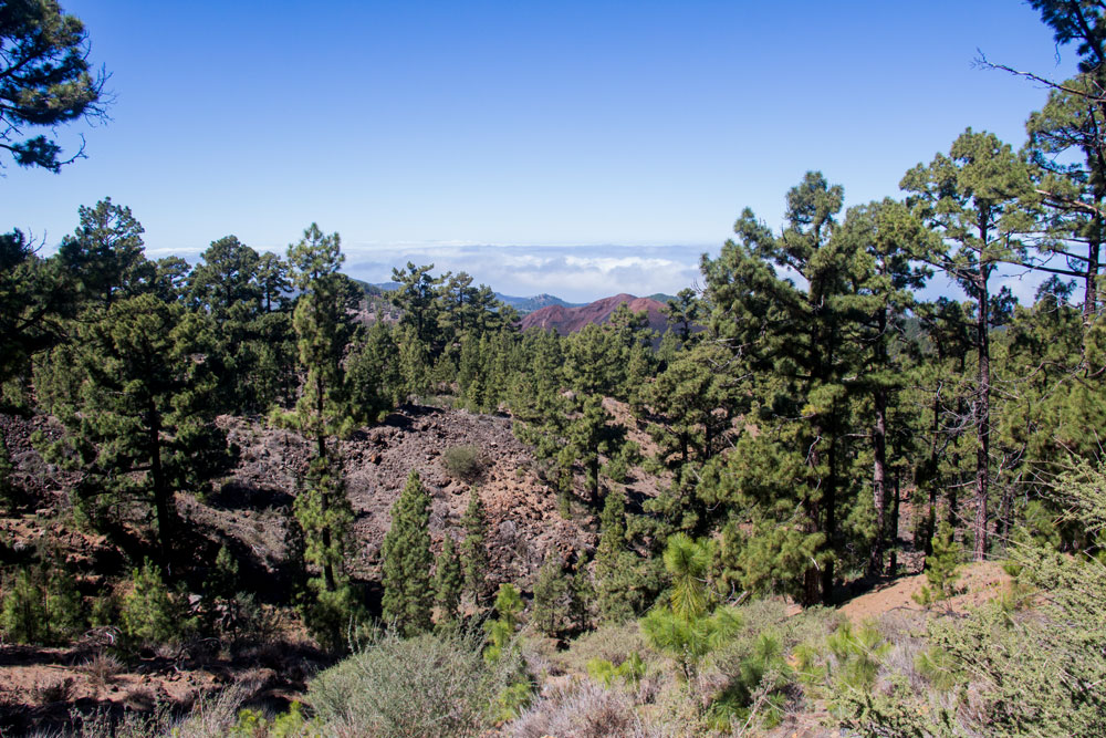 Ausblick auf die Montaña Negra