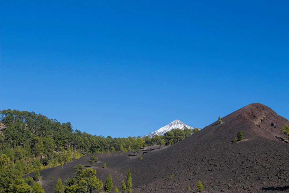 Blick auf den verschneiten Teide