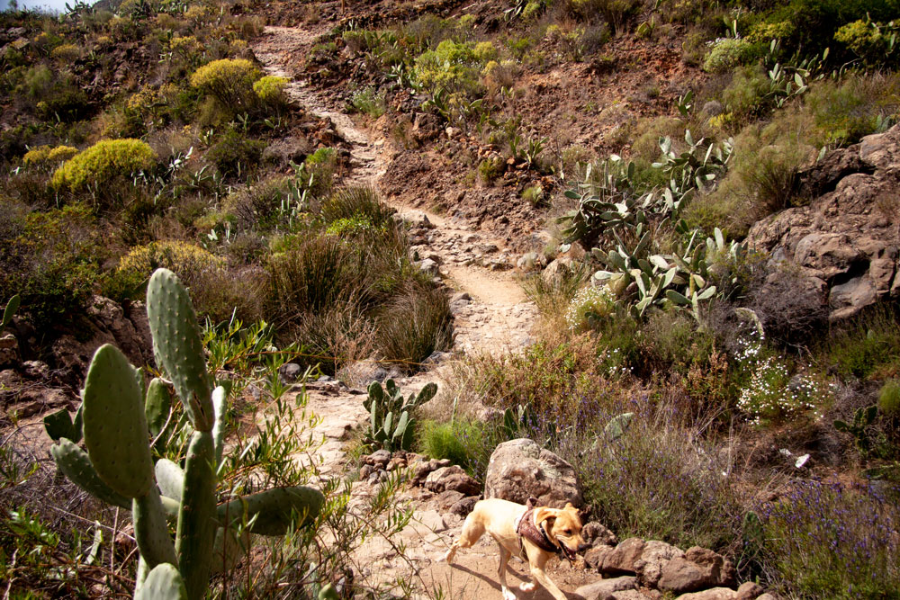 Wanderweg durch den Barranco