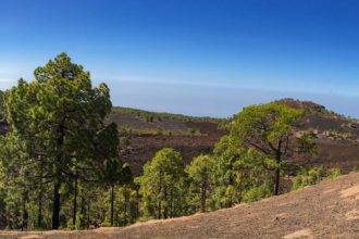 Panorama - Montaña de las Cuevitas