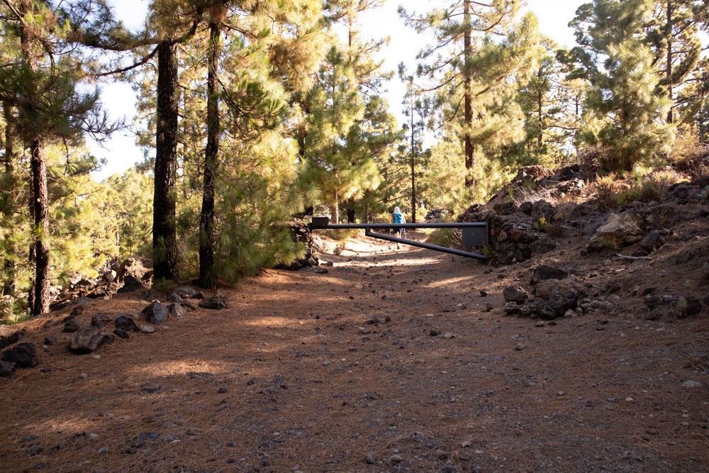 Waldweg mit Schranke