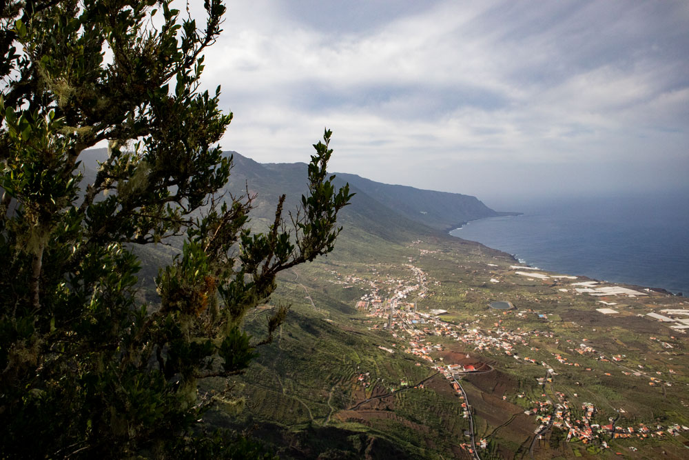 Wandern durch Lorbeerwald mit Blick aufs El Golfo Tal