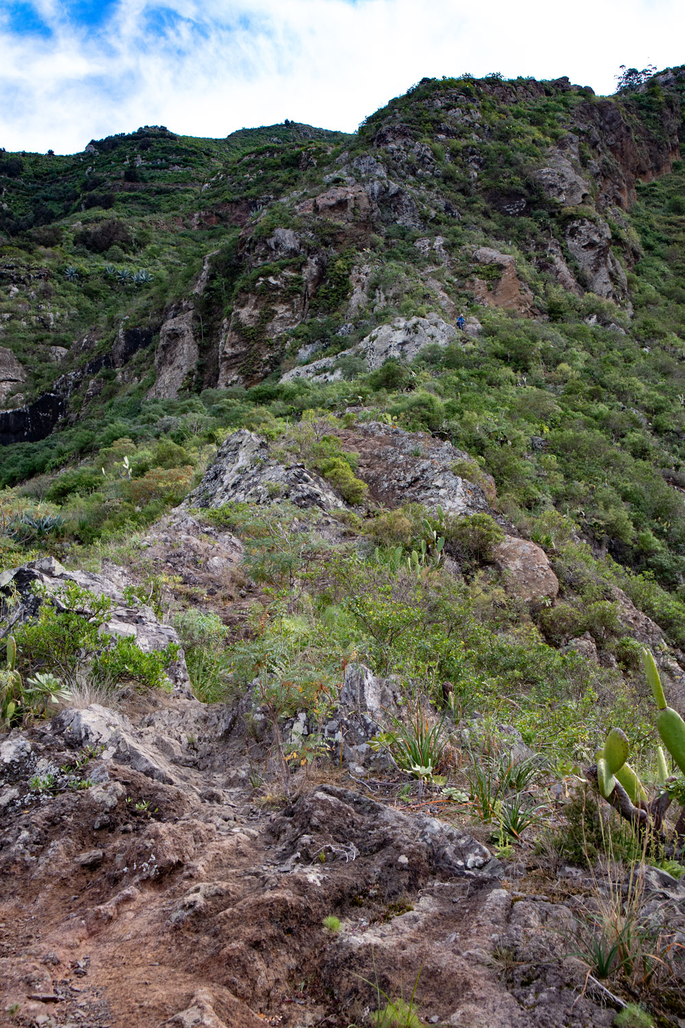 Abstieg von El Batán in den Barranco del Rio