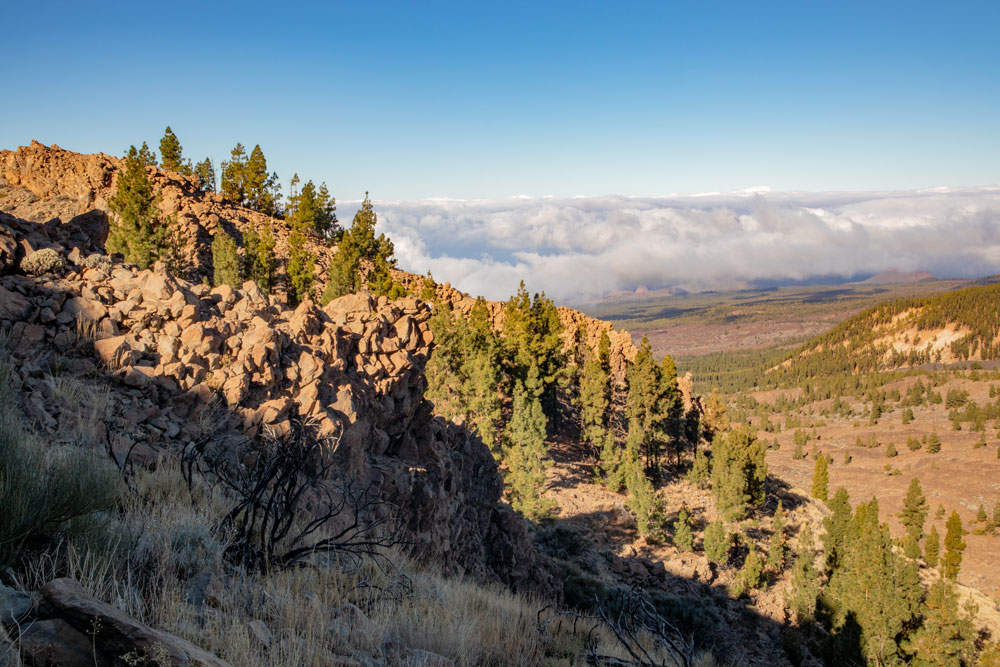 Blick vom Wanderweg -Montaña el Cedro