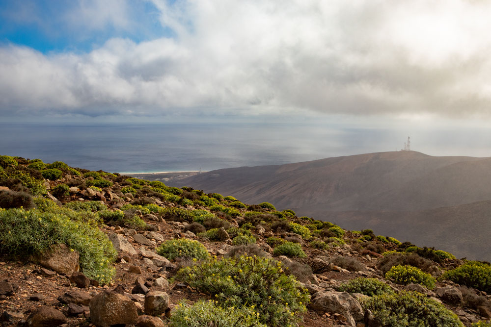 Blick auf die Ostküste mit Strand - Fuerteventura