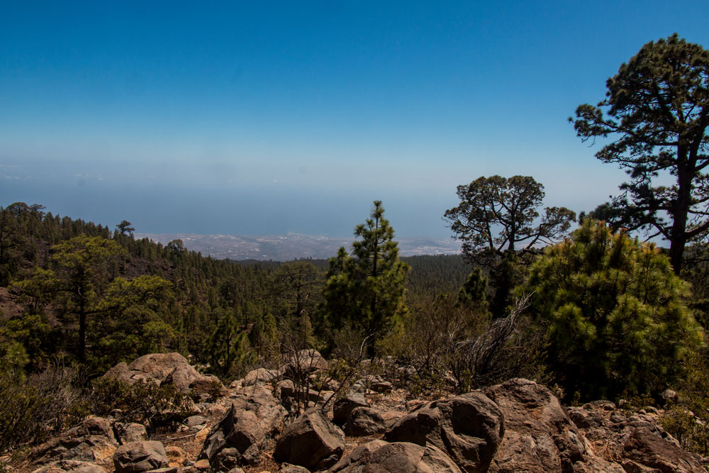 View from the hight to the southcoast