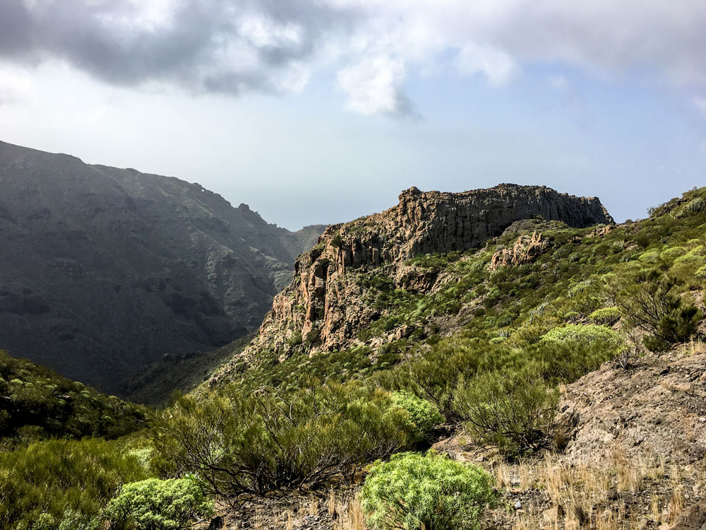 Teno - hiking path to Lomo del Cabezón