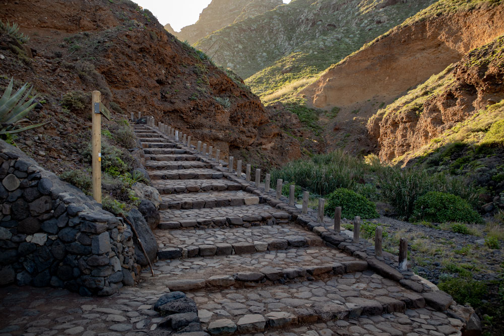 angelegter Wanderweg von Punta del Hidalgo nach Chinamada