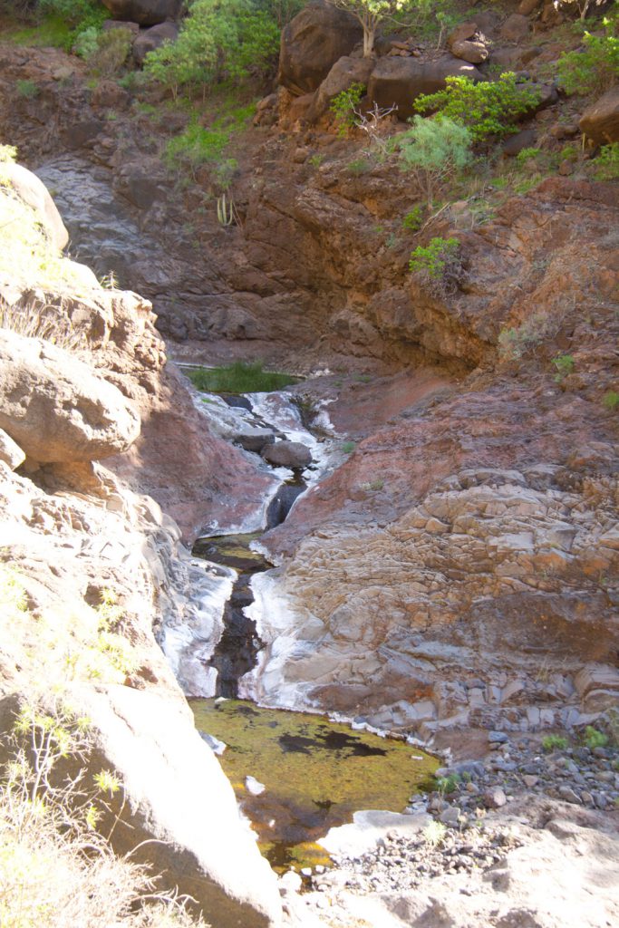 In the Barranco bed of the Natero you will often find water