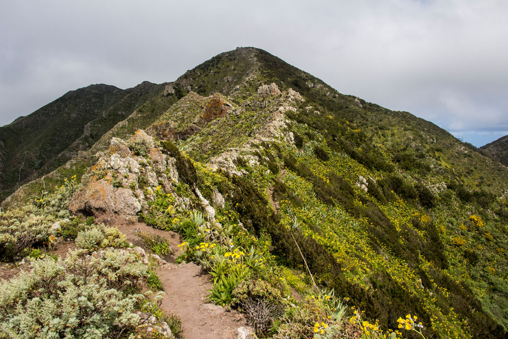 the ridge of Baracán