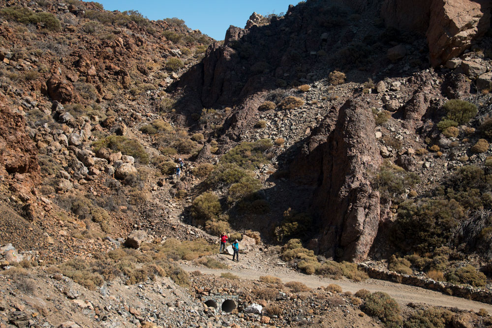 way to the Guajara from the hiking route S 16