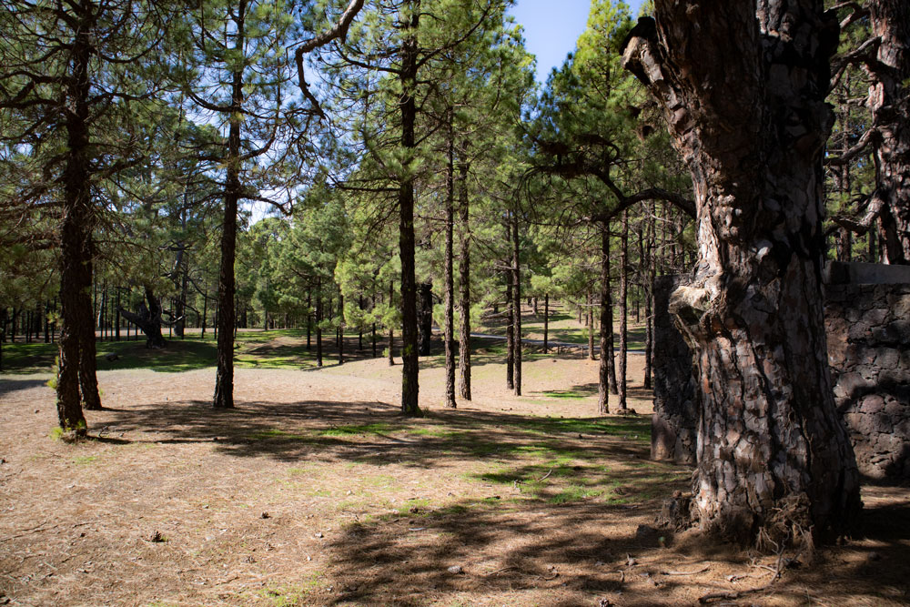 Camping- and resting area Hoya del Morcillo