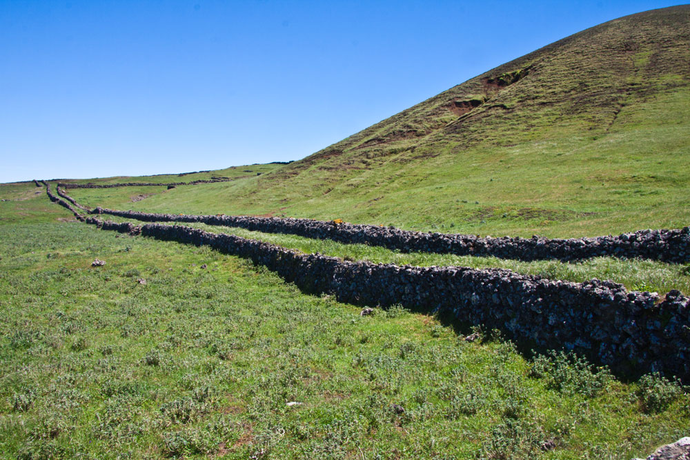 green pastures and long paths bordered by walls