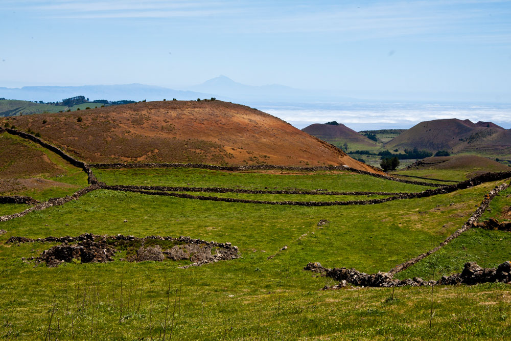 grünes Hochland von El Hierro in der Nähe Mirador La Peña