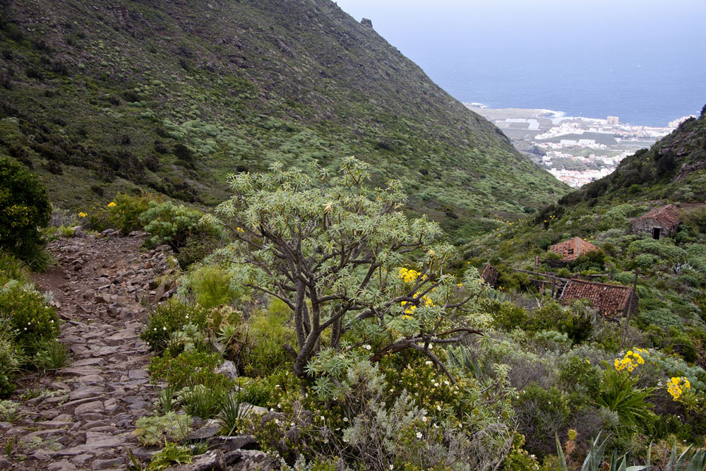 hiking Cuevas Negras down to Los Silos