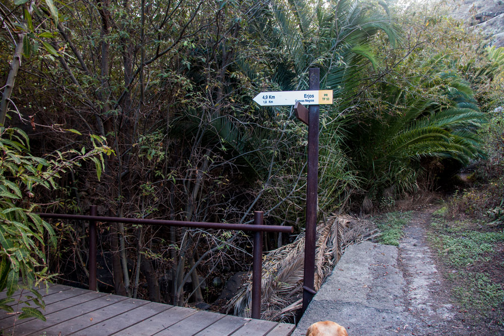 hiking path in Los Silos - bridge
